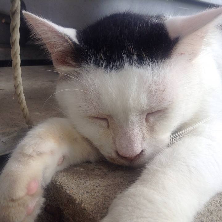 C3a75c5b e7bd 4798 a855 9f1dbbdbbf4f 1566211459132