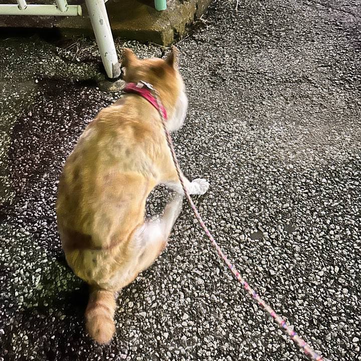 C3a77638 e4da 4513 9282 b4af465bc4f7 1758536555443