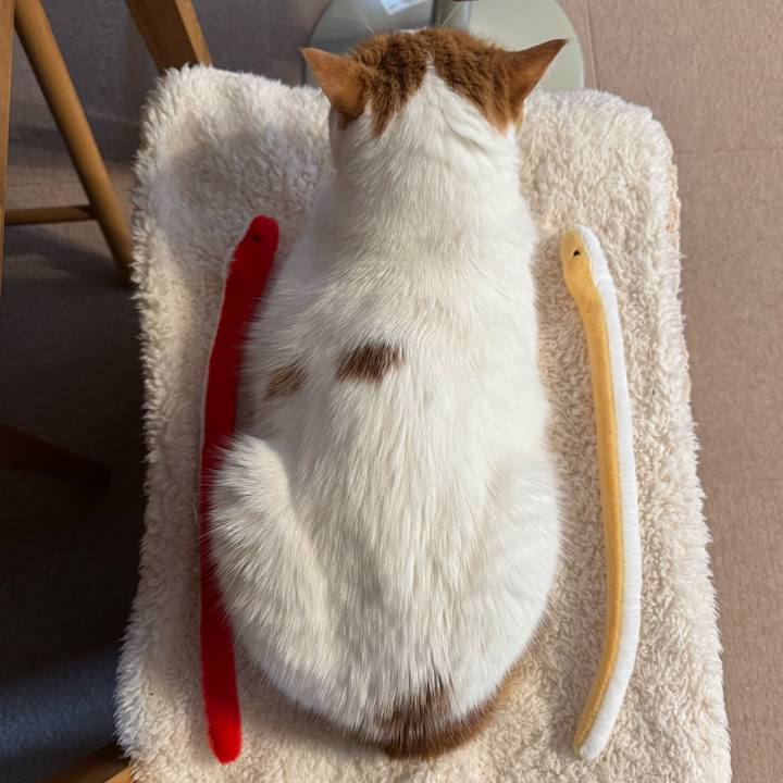 C3a7956a 44a8 426d bef3 b14437fc4cf1 1774959193033