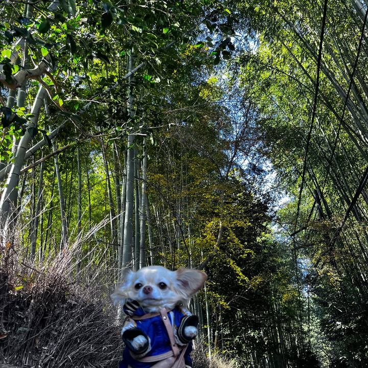 C3a7bad2 a969 48f1 945a af5c4388a2ae 1672563688026