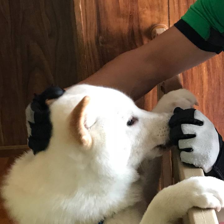 C3a7ca09 31e3 438c b410 2ea77722c3ef 1536395450499