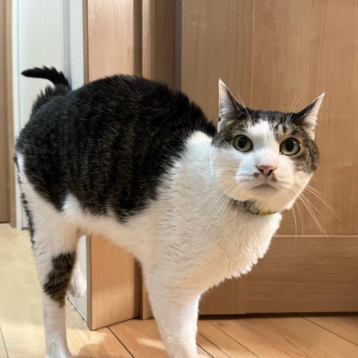 C3a8175d ff5f 46d9 a9fe e85bc6239230 1775086049311