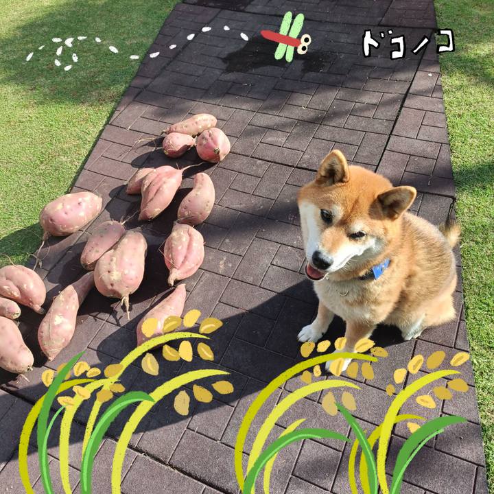 C3a85c0f 652d 43ef 840d 63398c3f1556 1761575716545