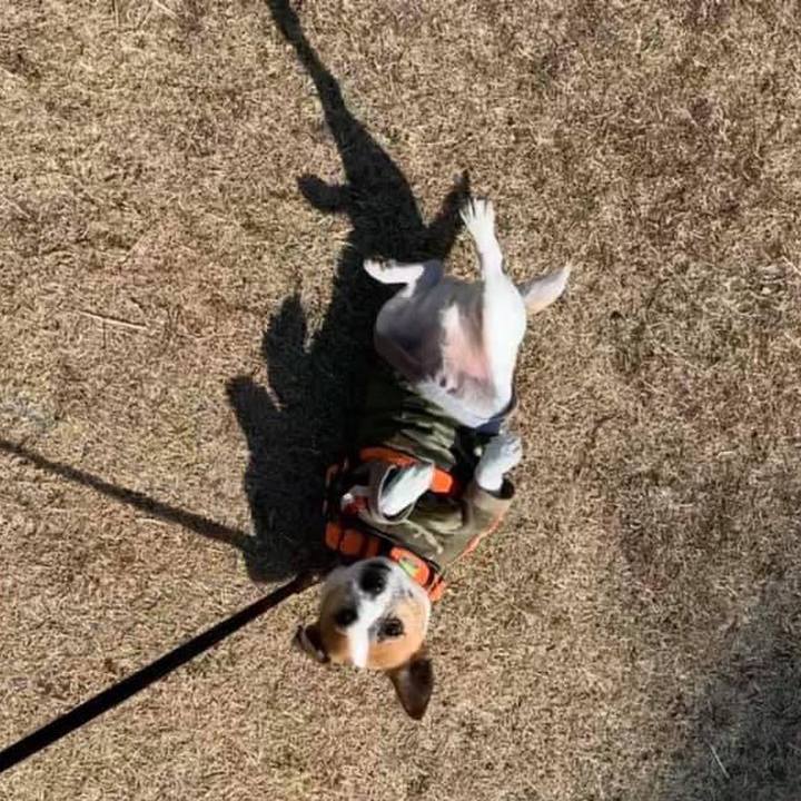 C3a86ce2 c7d4 4b7a 9704 1d69979f4bcd 1675655191233