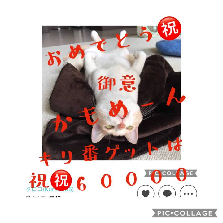 C3a89cf7 075f 412f 8b23 79dfd33d56dc 1578491156693