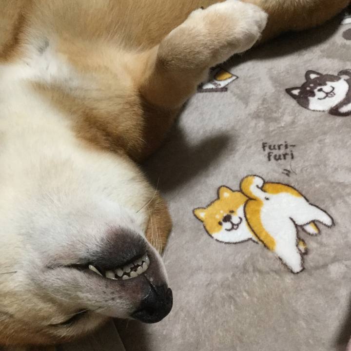 C3a8d174 cbc9 4e46 b475 b3d0437f6018 1601467517753