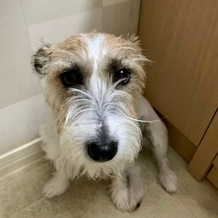 C3a8d361 51ef 48e8 9a01 c993e1235b0e 1664933065119