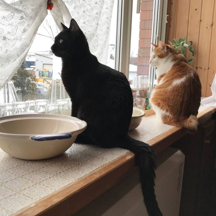 C3a8dbce 97ff 4192 aa73 a19c24e1e5d7 1577402948524