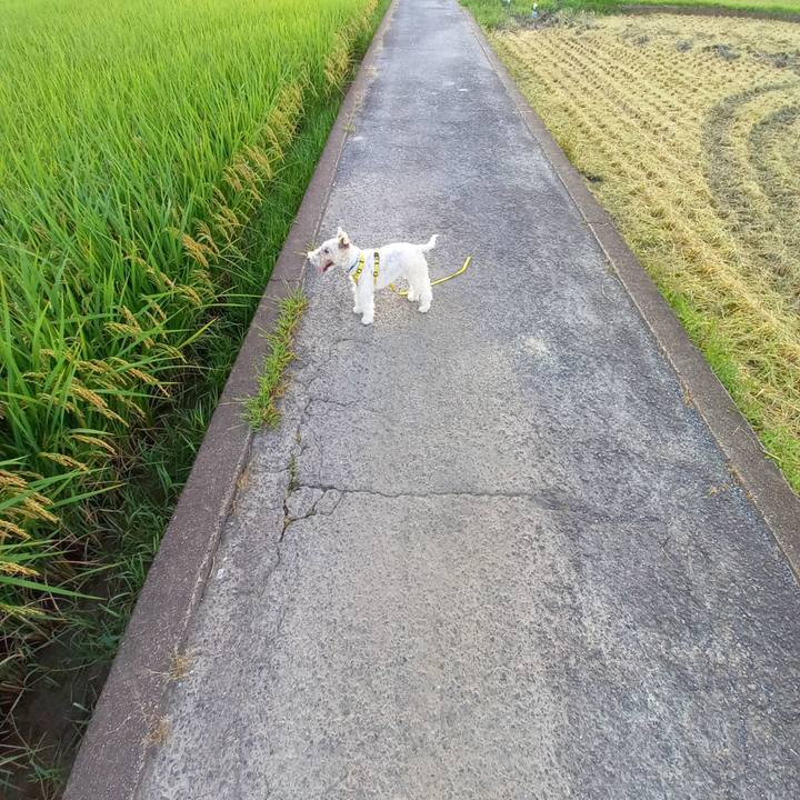 C3a8e1ea b0c2 40cd 9970 124cbef408ea 1632137326039