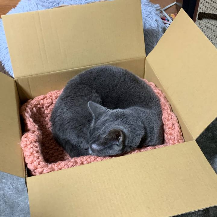 C3a8f52e 8717 417e 9b0d 0698e460249b 1669037138988