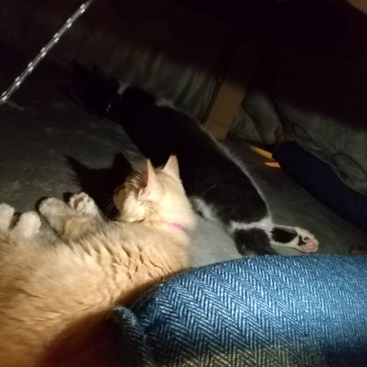 C3a9251e bbb6 4674 8a62 943883ecf588 1604146854014