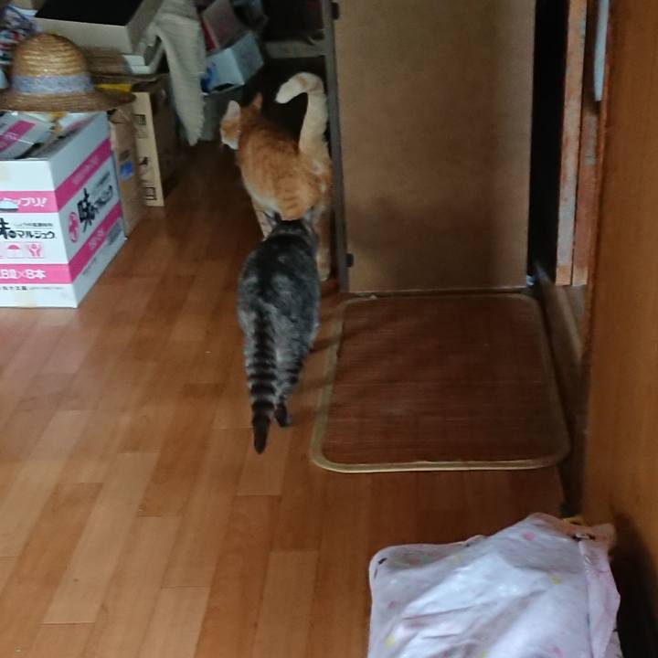 C3a929f6 4d05 4a3f a0f5 216212b15bee 1589610145647