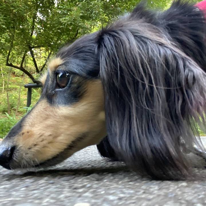 C3a931af 8a21 4288 8bbd 5d50bdabad41 1754352269777