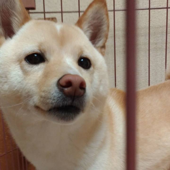 C3a9526b f191 427d 9fc2 a8a3f4cf84aa 1521112075915