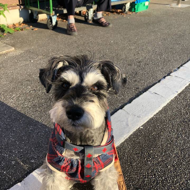 C3a95a9c aa8a 49e6 83b5 7df97b9b0f9a 1667689518594