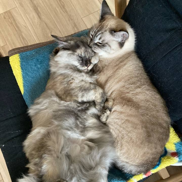 C3a9acb6 15d5 4c9d a129 67d607bf7b48 1761443593246