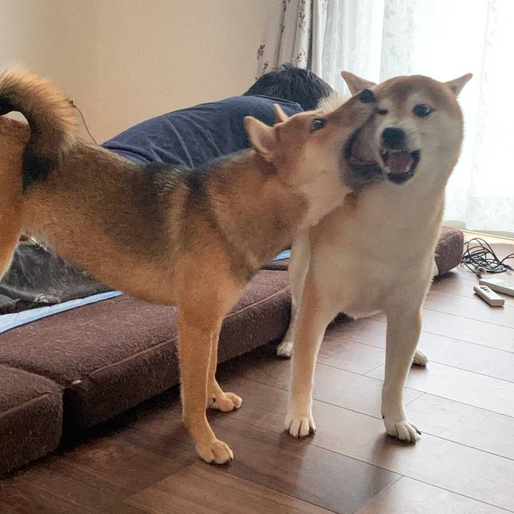 C3a9b83d a703 4959 bd22 08960a84fa77 1629374471596