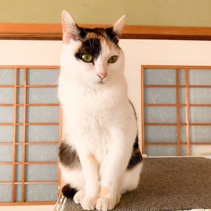 C3a9ca9d 2bfe 4be4 9645 9ca3659404d9 1576028443089