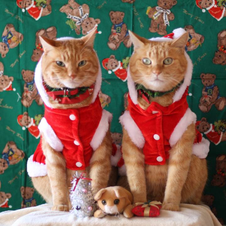 C3aa014d 5c4e 4293 8ad2 77a70426481b 1514042537255