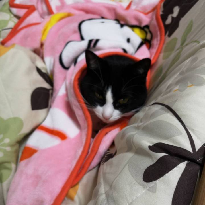 C3aa3725 a364 4b63 81af 7e410f6b0812 1671779785547