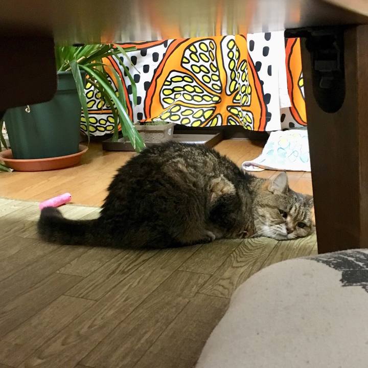 C3aa4211 aa80 4ee6 8aea 52d990382598 1509198957457