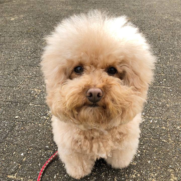 C3aa5ff4 ad6b 4fea ba6c f5a5f01ae01d 1518063619344