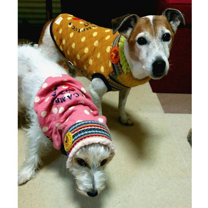 C3aa65be 56b0 423c a1a0 61e8f2cc778f 1511091506820