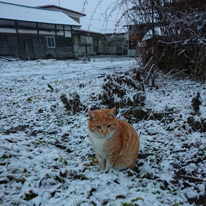 C3aa7184 a481 4bb9 aad1 2f0a16ea3655 1579044909140