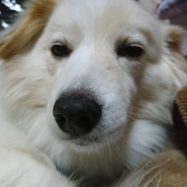 C3aa739c ca5c 43ef ac8f 07c214943e27 1521665738999