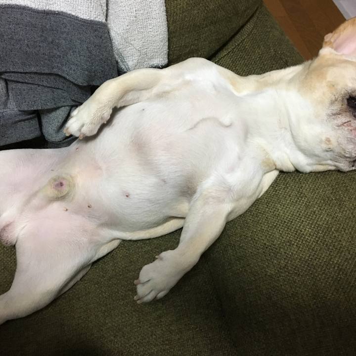 C3aa9694 deaf 4dfa 9be1 e24f5cab72f7 1526474999674