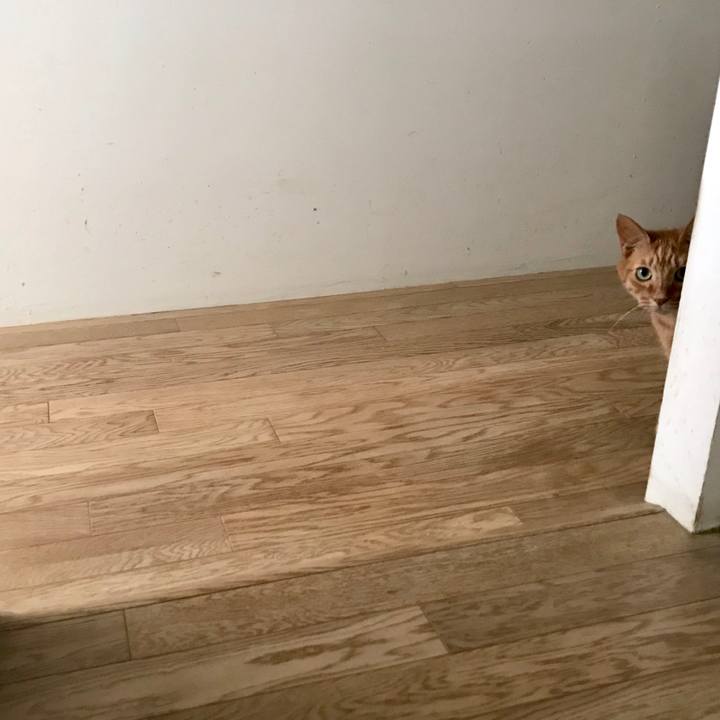 C3aaa8b8 bcf4 4be6 b8d4 d36cdaf6153b 1568169308534