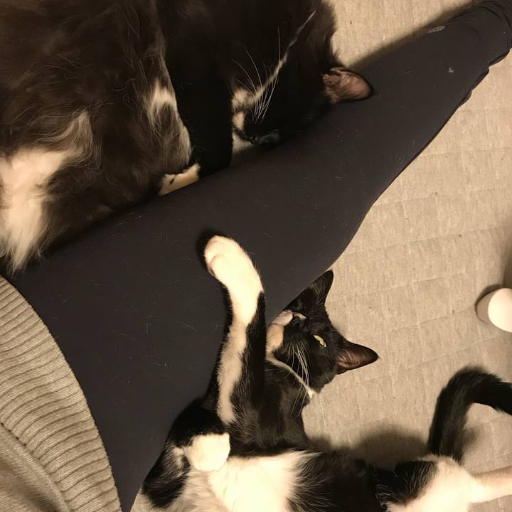 C3aaae52 d252 4a69 a82f d9ce280a416d 1519601604376