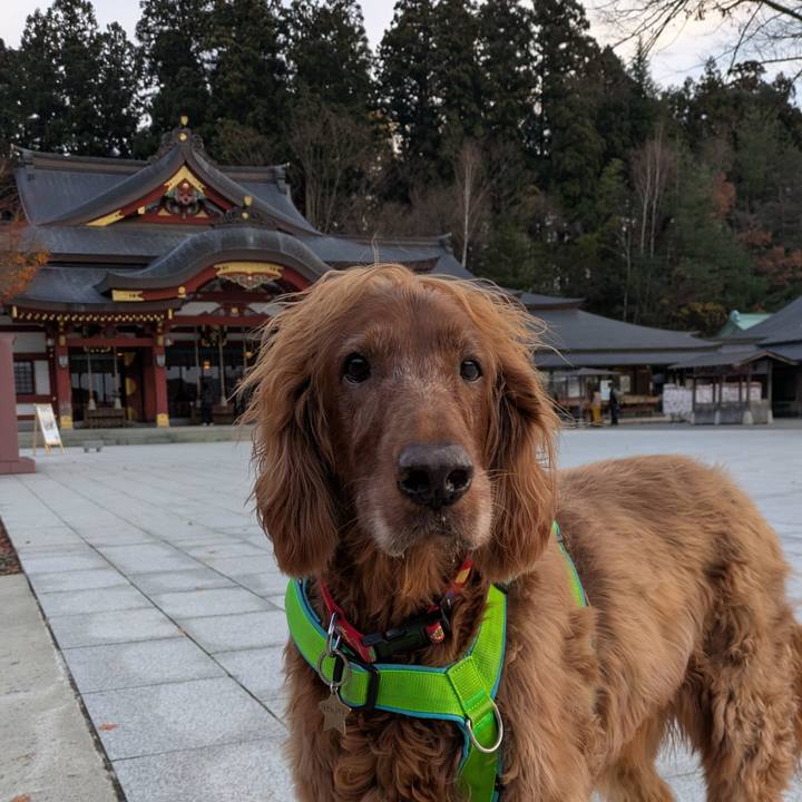 C3aab598 7b15 4843 ba29 f5d18d3cca8f 1764281675306