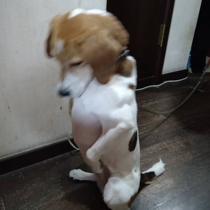 C3aac0a8 eb9e 476a b143 a8d15631c489 1648276964293