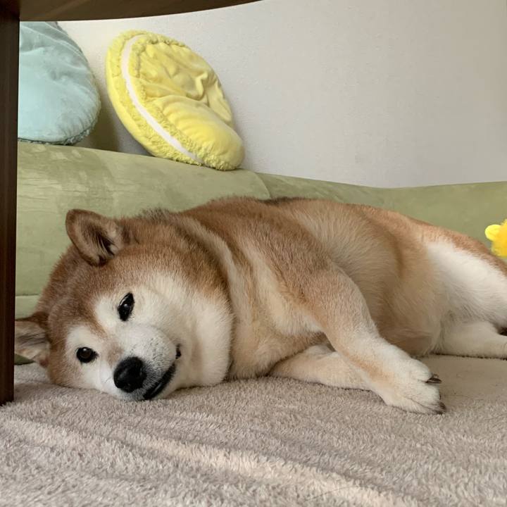 C3aac17f 5ae0 42e6 8efb 3c2a47f1239e 1588553166322