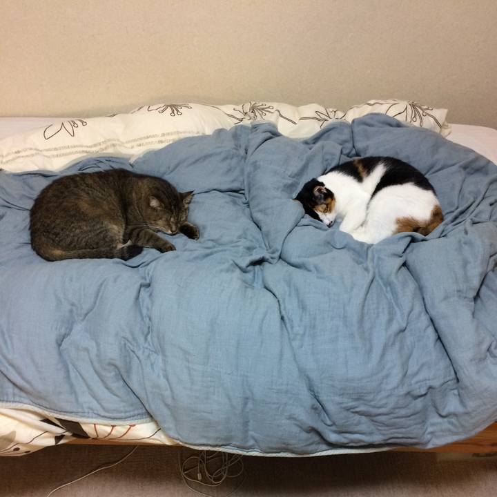 C3aac521 3530 4655 9425 514e438d81e5 1600948692823