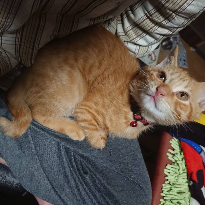 C3aacb83 cd3b 46bb a7ad cb4e487ce180 1632605027861