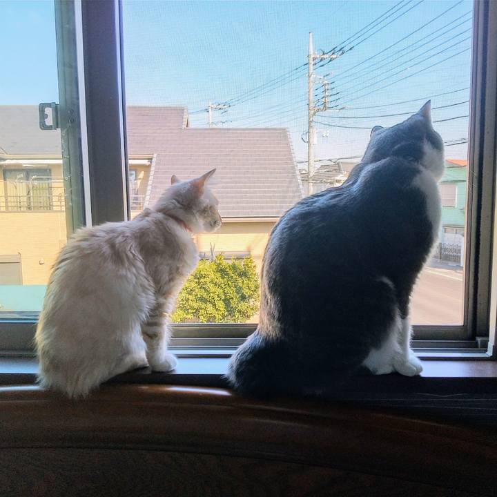 C3aad14a 9f95 48b9 9f22 1ffa1a3b8937 1611278671822