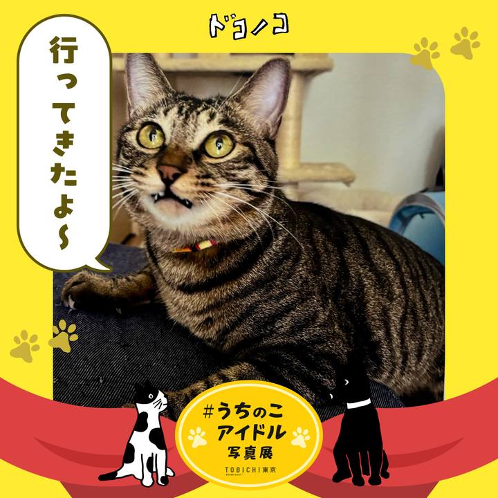 C3aad5ce 23fd 4362 8285 a97b038d25cf 1762072195263