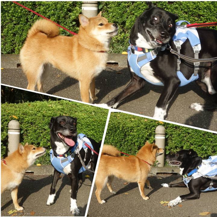 C3ab0db7 81e8 48be a4ae e6cb250d2373 1693268999653