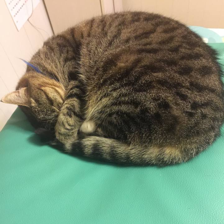 C3ab1578 151d 49a7 8945 9fda6cb7daed 1553272742335