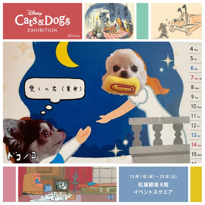 C3ab1f7a 8d46 4b9b 8db3 cfaa97abd815 1638443368807