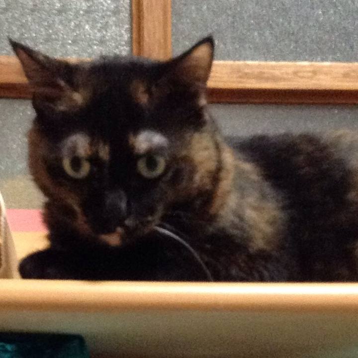 C3ab9fc7 eede 4a99 b997 4bacfbdc3b58 1535635360718