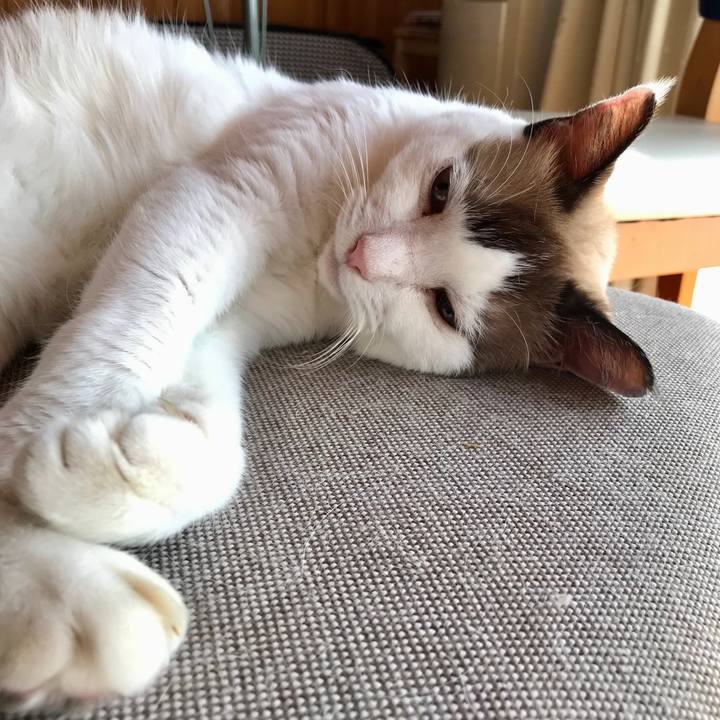 C3abc50b d6be 4acd 8fff 14f1b0f2658d 1570749863589