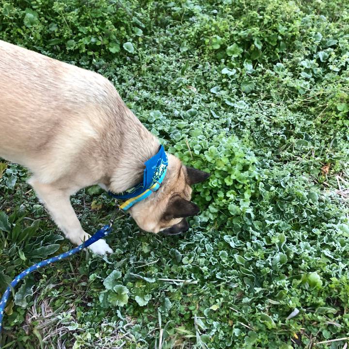 C3ac0a4d 7351 4883 acbc 08ee05d7654b 1580903301282