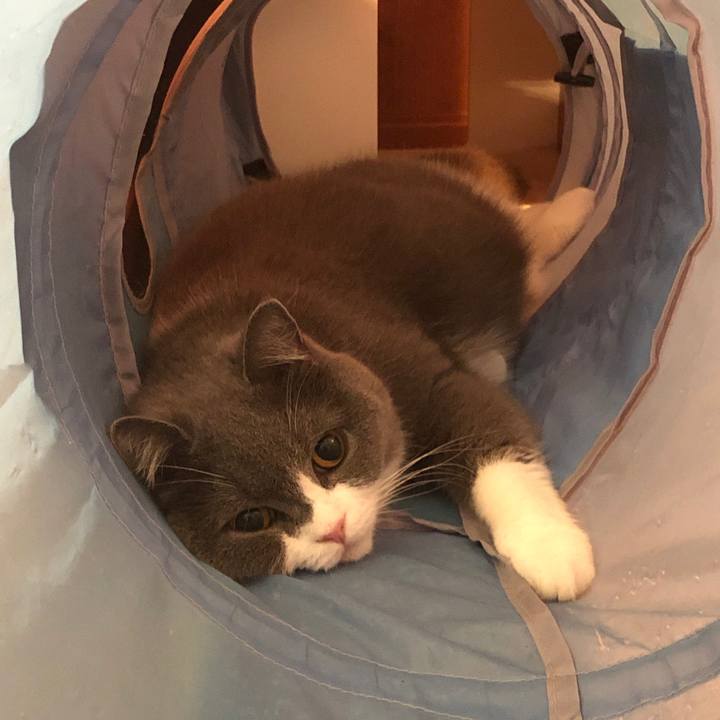 C3ac2462 80e0 42c1 9ee2 fba6da0b0297 1559134732080