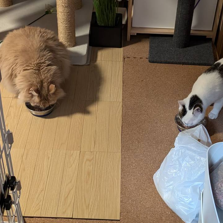 C3ac3e0e bb40 4e8b 98f8 f072a3fbe10e 1720567174260