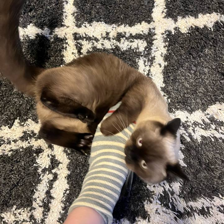 C3ac45e3 469b 40e4 9256 5e791c8a734c 1635468641303