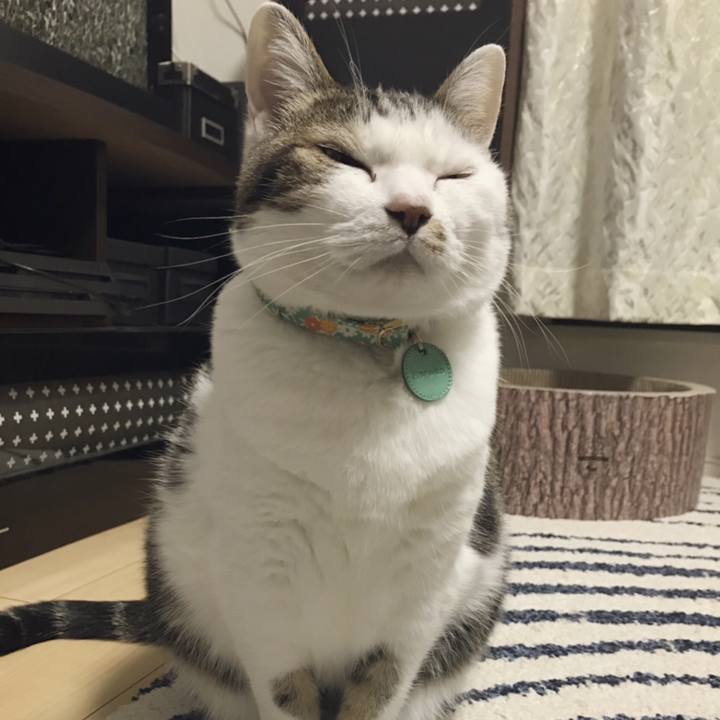 C3ac798e 32c2 4ef4 ac03 81a8c34c73d8 1555564427306