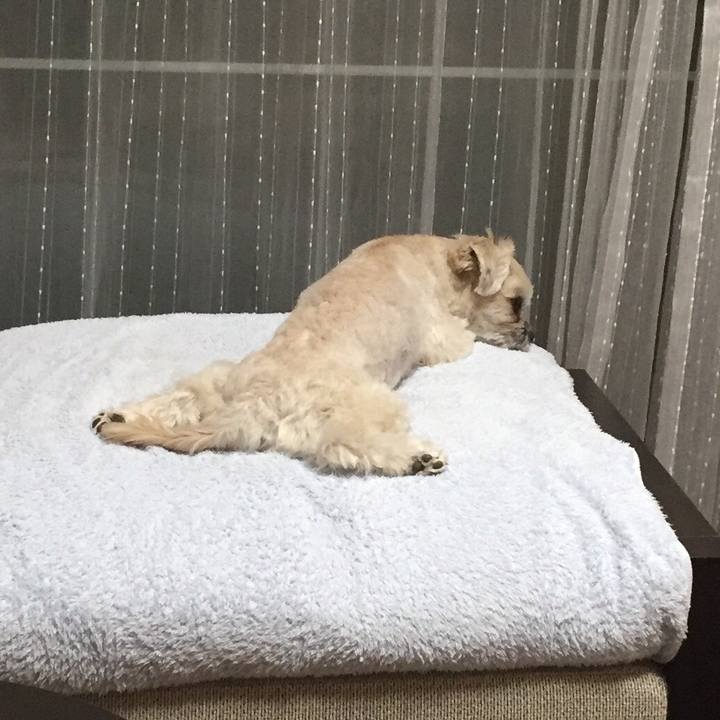 C3ac93e7 a2be 4a7e 860c 6b4e8e4a6435 1517136097927